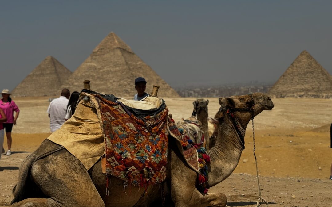AmaWaterways Secrets of Egypt & Nile River Cruise: An Unforgettable Journey Overview