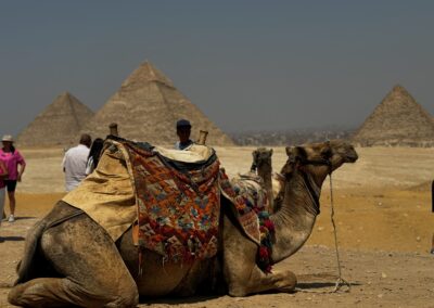 Giza Pyramids and camel