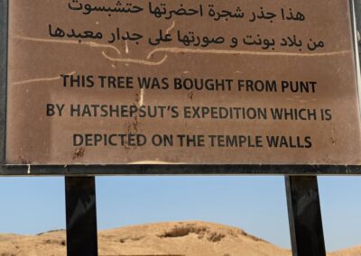 Hatshepsut Temple Old